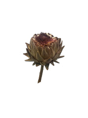 Artichoke