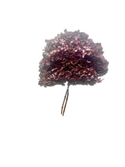 Hydrangea Standard