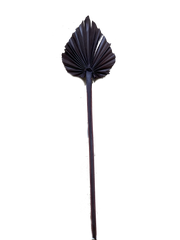 Palm Spear