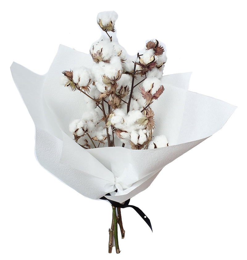 Cotton Flower